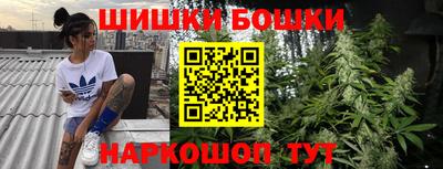PSILOCYBIN Камышлов