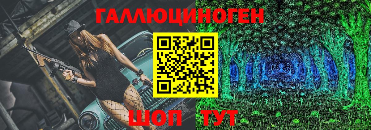 Псилоцибиновые грибы Cubensis  Вход с VPN  Кунгур 