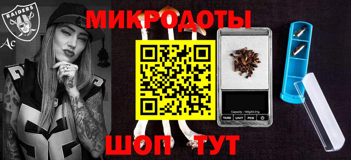 Галлюциногенные грибы Cubensis Кунгур